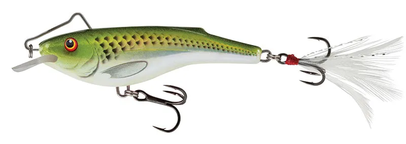 Holographic Green Shiner