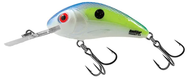 Sexy Shad [+0.90 CHF]