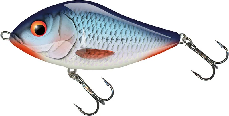 Bleeding Blue Shad [+3.65 CHF]