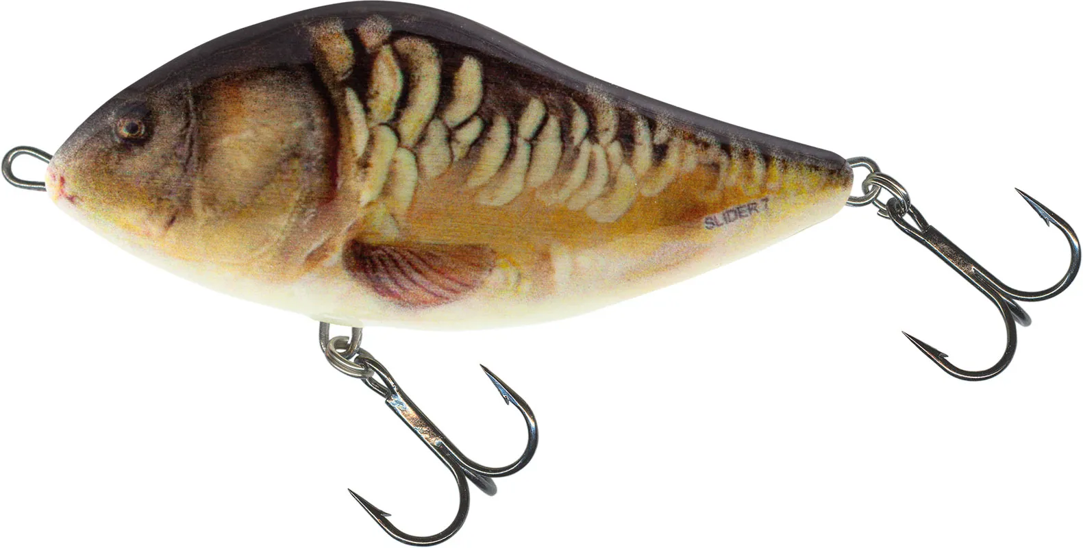 Mirror Carp [+3,65 CHF]