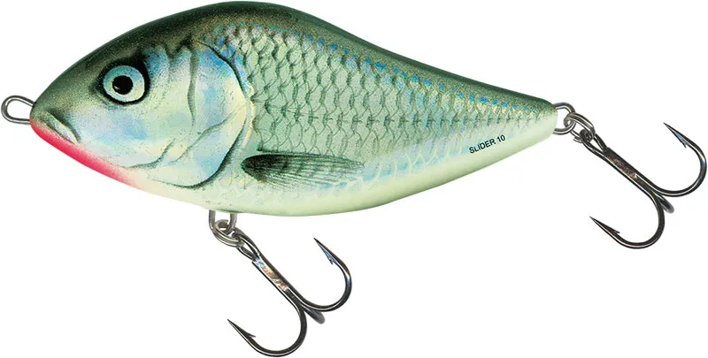 Holographic grey shiner