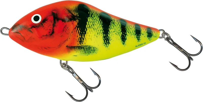 Clown Yellow Perch