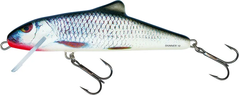 Real Grey Shiner