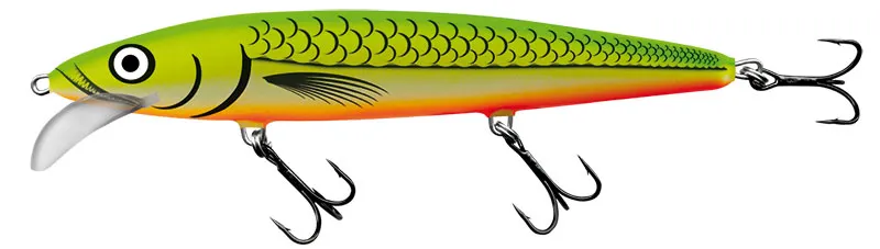 Glowing Fluorescent Fish
