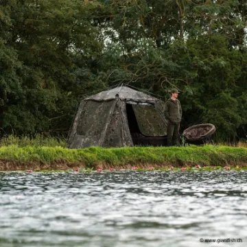 Biwy, Parapluies, Tables pour la pêche de la carpe