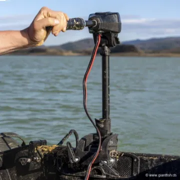 Boat Life Electric Engine 45lb