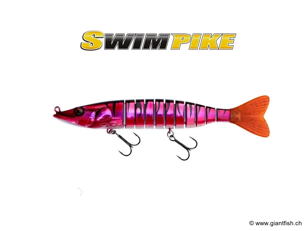 (035) Ruby Tiger - 18cm /26G