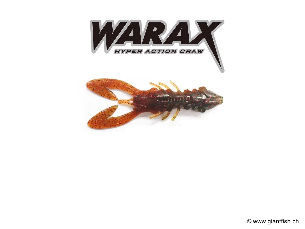 (017) Clarkii - 5" / 12.7cm