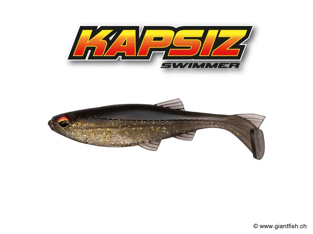 (206) Golden Shiner - 3" / 7.5cm