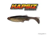 (206) Golden Shiner