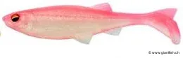(304) Pink Ice - 5" / 12.7cm