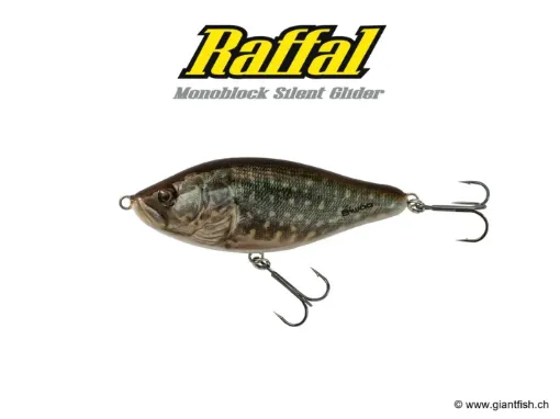 BIWAA RAFFAL 4" - GLIDER - Coulant Pike