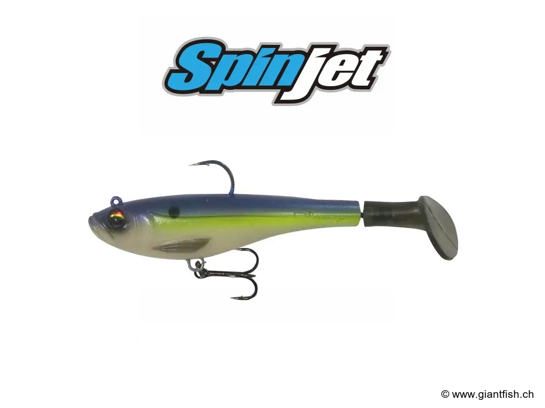 (057) Sexy Shad - 15cm - 43g