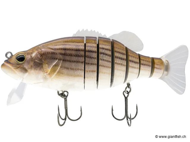 (036) Striped Bass - 15cm - 65g
