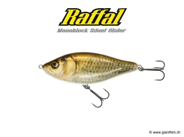 BIWAA RAFFAL 3" - GLIDER  - Coulant Carassin