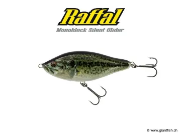 BIWAA RAFFAL 3" - GLIDER  - Coulant Real Bass