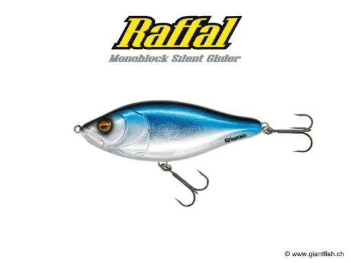 BIWAA RAFFAL 3" - GLIDER  - Coulant Blue Chrome