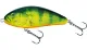 Salmo Fatso 10cm Real Hot Perch Salmo Fatso 10cm Real Hot Perch