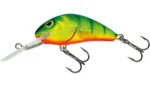 Hot Perch