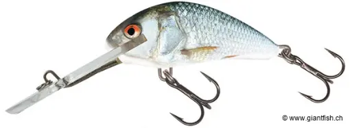 Salmo Fishing Lures Real Dace