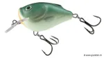 Green Back Herring