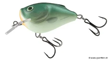 Salmo Salmo Lure Green Back Herring