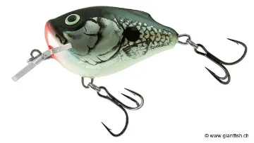 Salmo Salmo Lure Holo Grey Shad