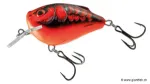 Demon Craw