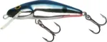 Red Tail Shiner