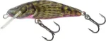 Sparkling Bullhead