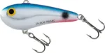 Red Tail Shiner
