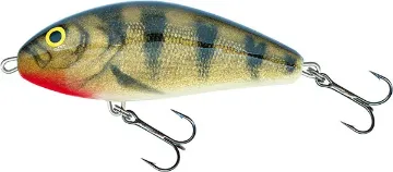 Salmo Real Emerald Perch