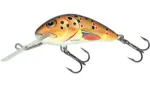 Trout