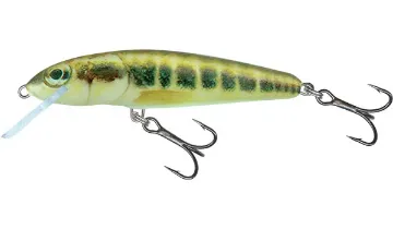 Salmo Minnow 5cm Minnow