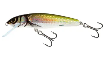 Salmo Minnow 7cm Holo Bleak