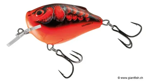 Salmo QSQ Demon Craw