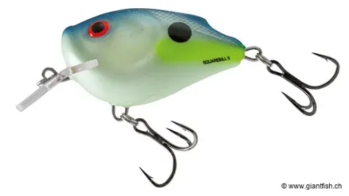 Salmo QSQ Sexy Shad