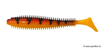 Salmo Spikey Shad Hot Tiger