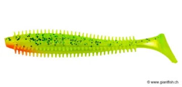 Salmo Spikey Shad Lemon Tiger