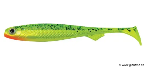 Salmo Slick Shad Lemon Tiger