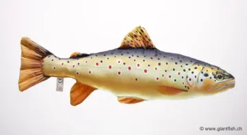 The Brown Trout