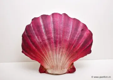 The Scallop red