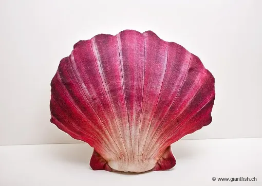 The Scallop red