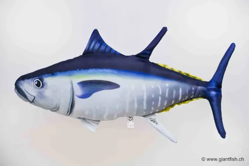 The Atlantic Bluefin Tuna