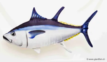 The Atlantic Bluefin Tuna