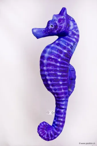 The Sea Horse blue