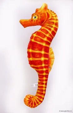 The Sea Horse orange