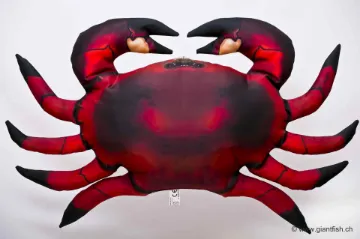 The Common Crab