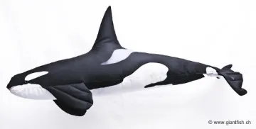 The Orca