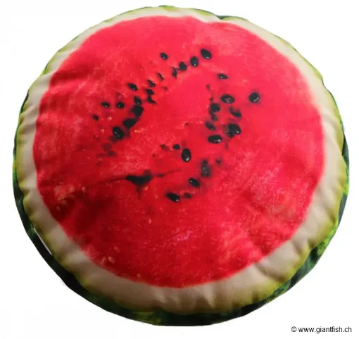 Watermelon cushion